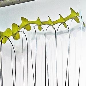 Akirasaurus • Installation, Airplane Parts, Hoist Hooks, Shim Stock, R.A.M.S.E.S Recycled-Assembled-Metal-Surplus-Engineered-Scrap, 108 x 84 x 48-60 inches (274.32 x 213.36 x 121.92 cm) All dimensions slightly variable.
